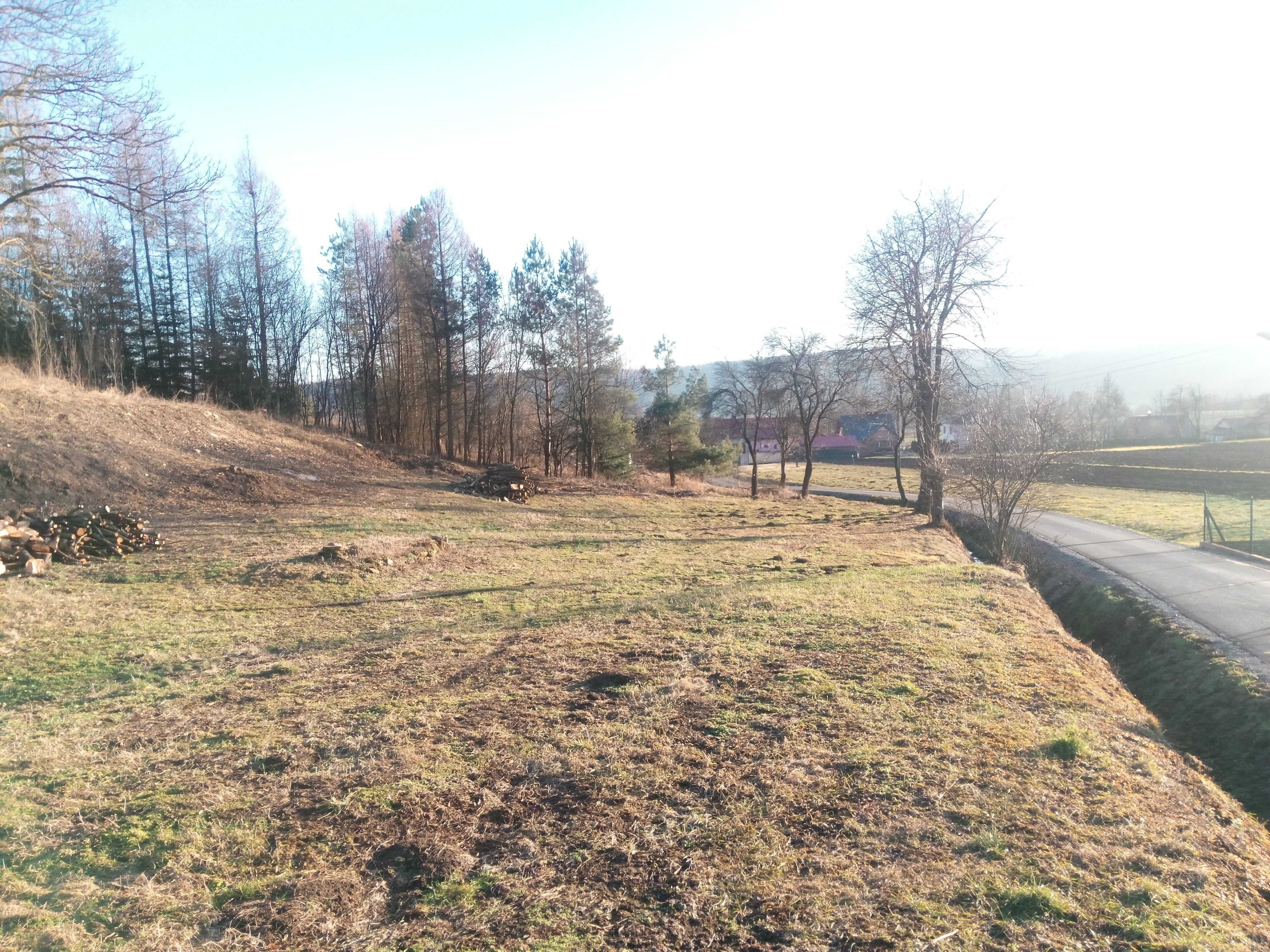 Działka 39a. Bachów, krążki