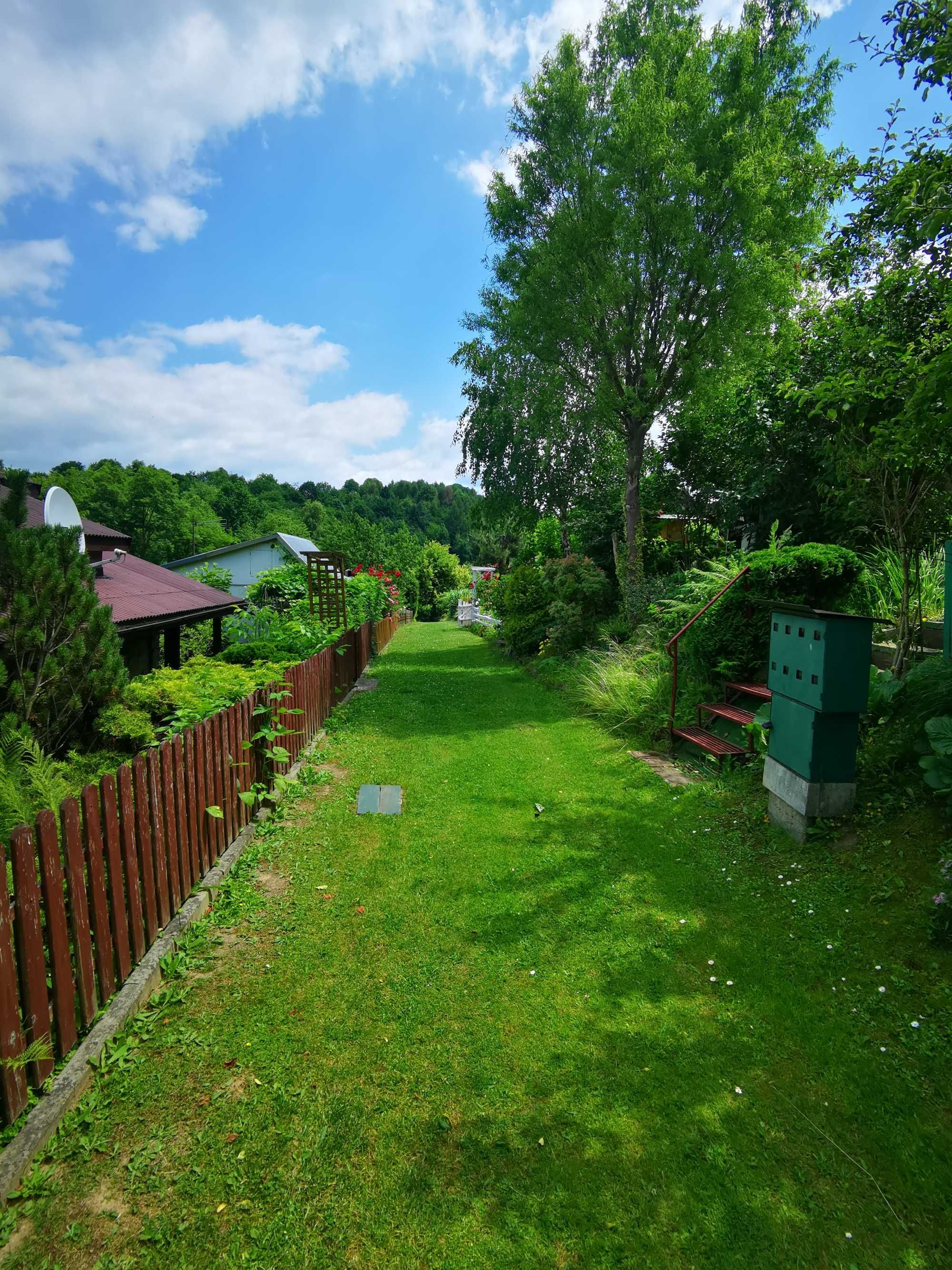Ogródek, działka ROD, Zabełcze - Góra Lotnika