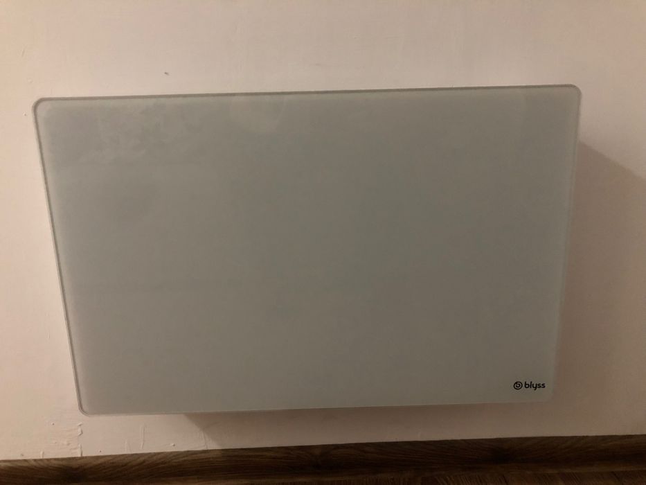 Grzejnik elektryczny Piękne szkło x2