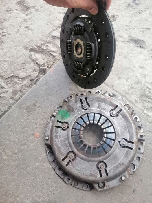 Продам щеплення на меган