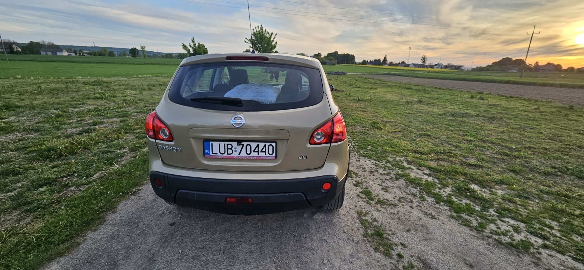 Nissan Qashqai 2007