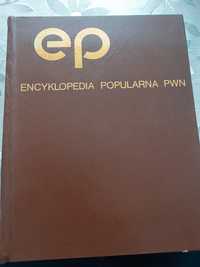 Encyklopedia popularna pwn