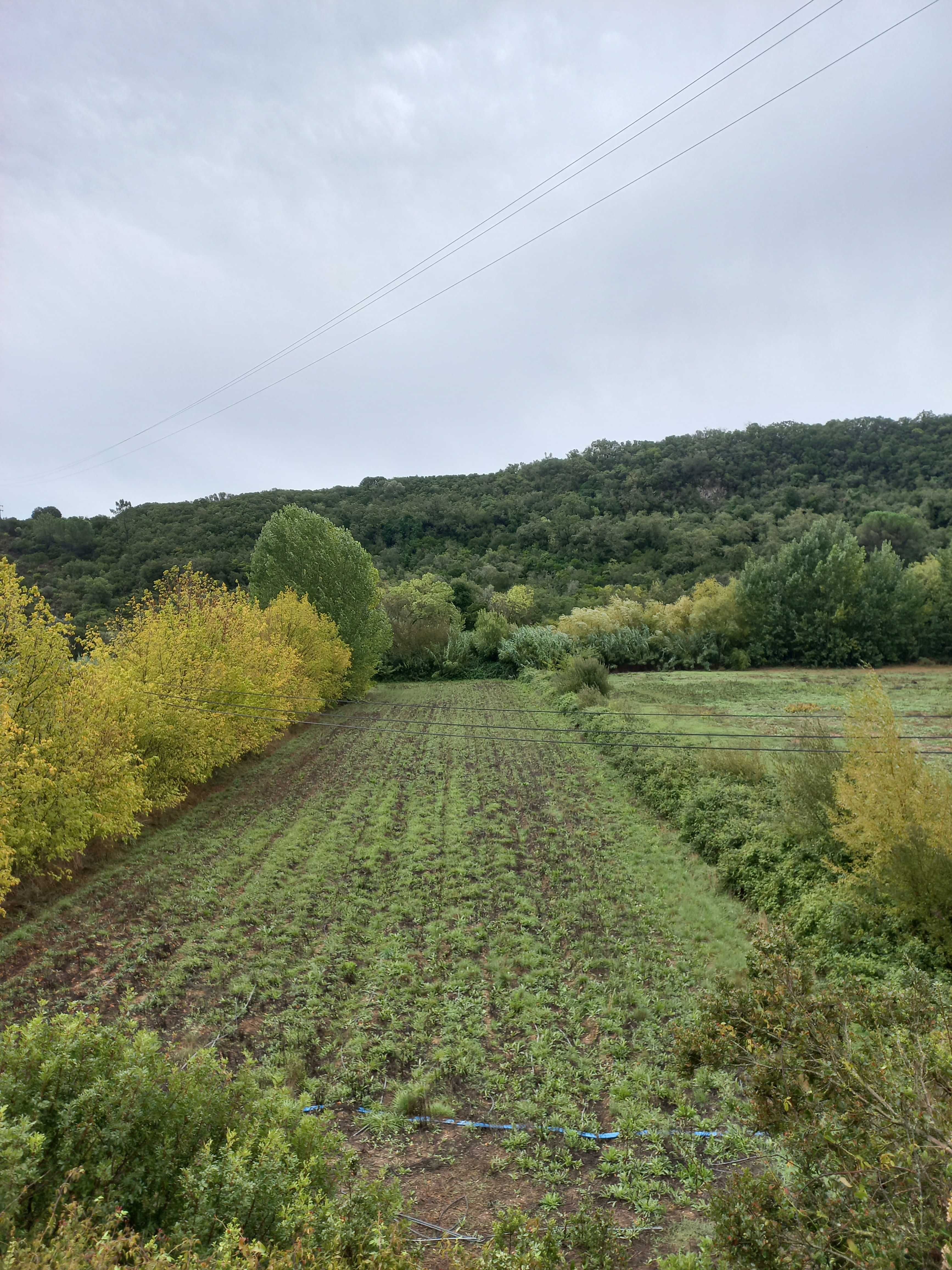 Vendo terreno agrícola com construção em ruinas