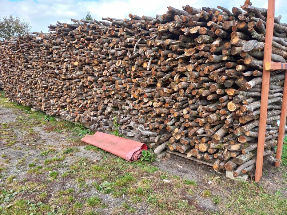 Drewno buk dąb opałowe,opal,liściaste, gałęziówka.