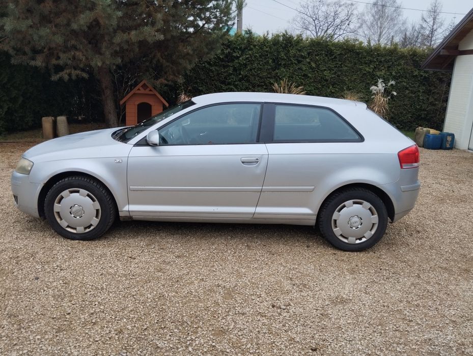 Audi a3 8p 1.6 102KM
