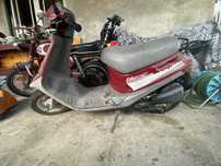 Diponivel secoter