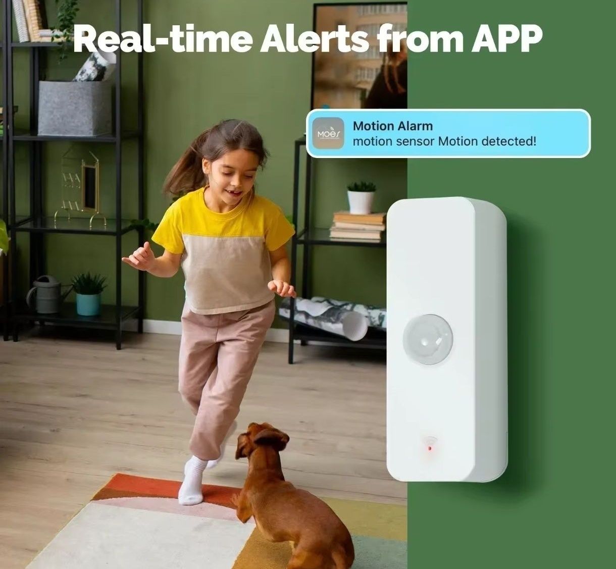 PIR czujnik obecności WiFi Smart Home
Zarządzanie, sygnalizacja i alar