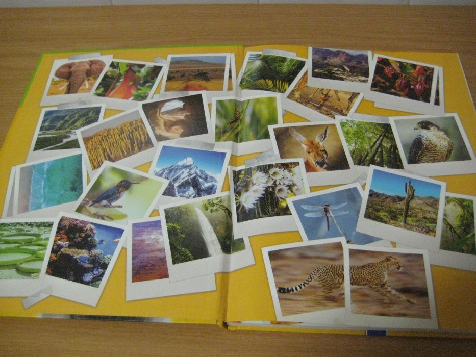 O Grande livro da Natureza