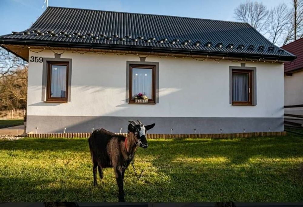 Chatki NAD Potokiem DOMEK  Gronków  Białka Bukowina Podhale Góry