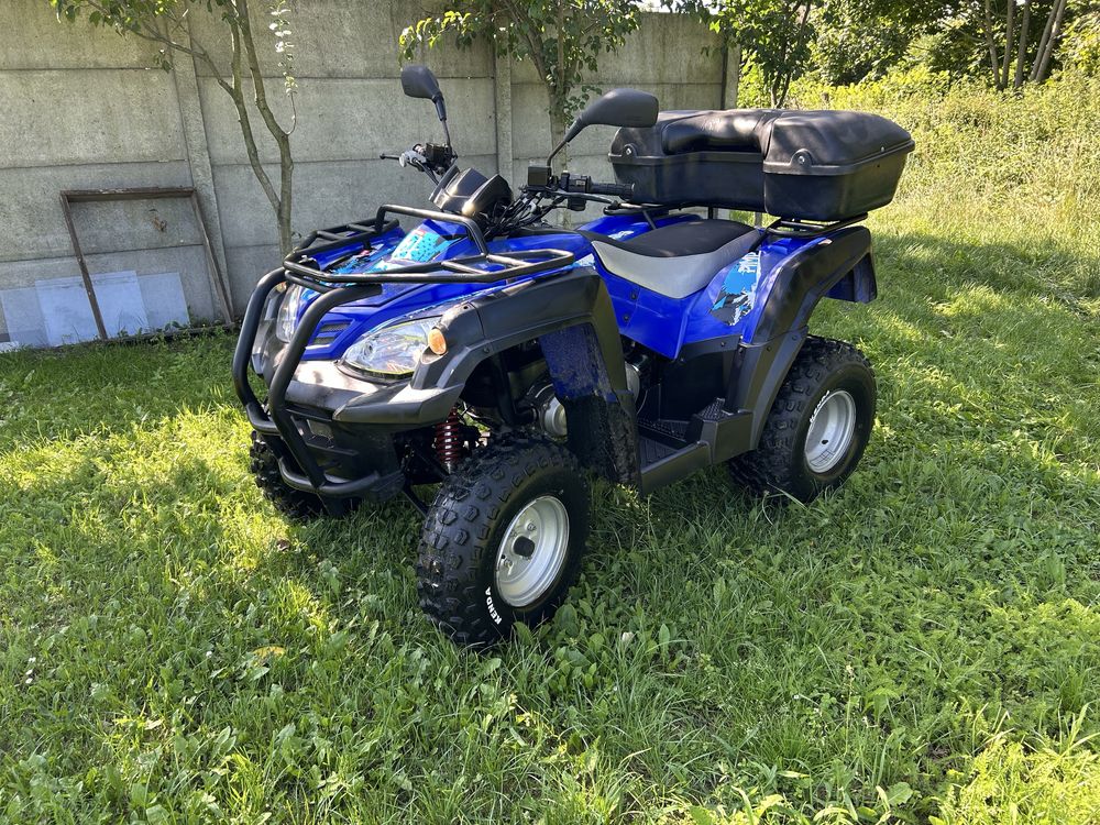 Quad Adly 280/ 300 L7e
