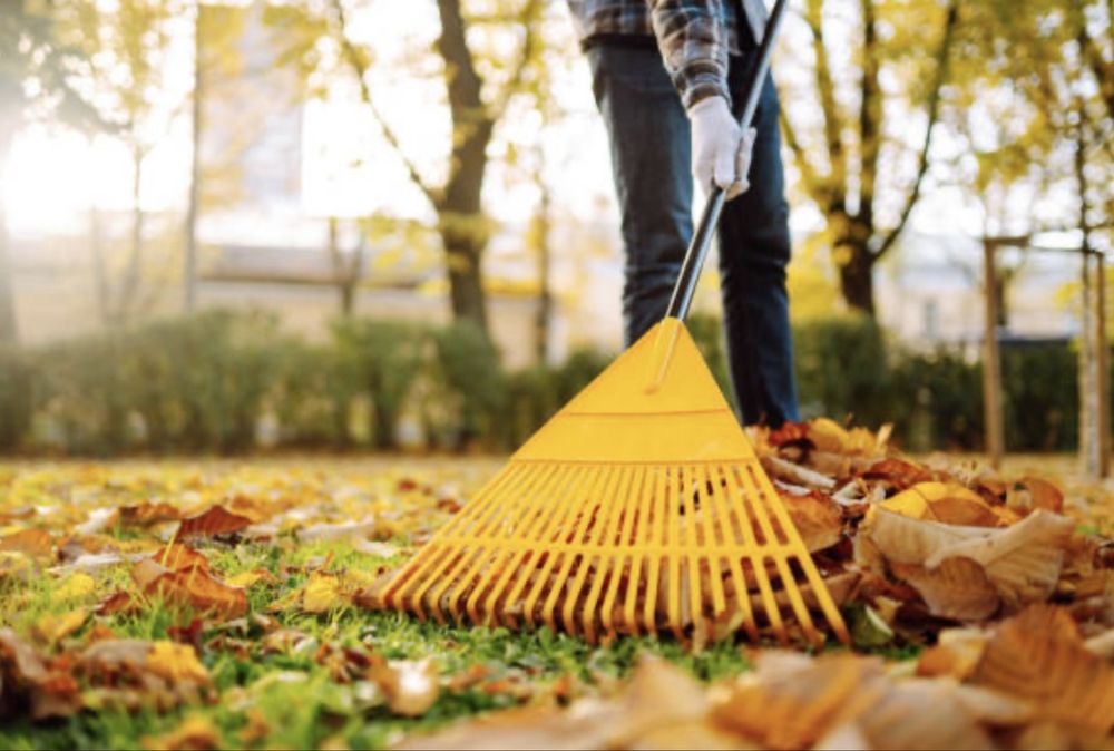 Sprzątanie posesji i wywóz liści/gałęzi– Zamość i okolice