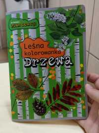 leśna kolorowanka zwierzęta drzewka przyroda dla dzieci zabawka smyk t