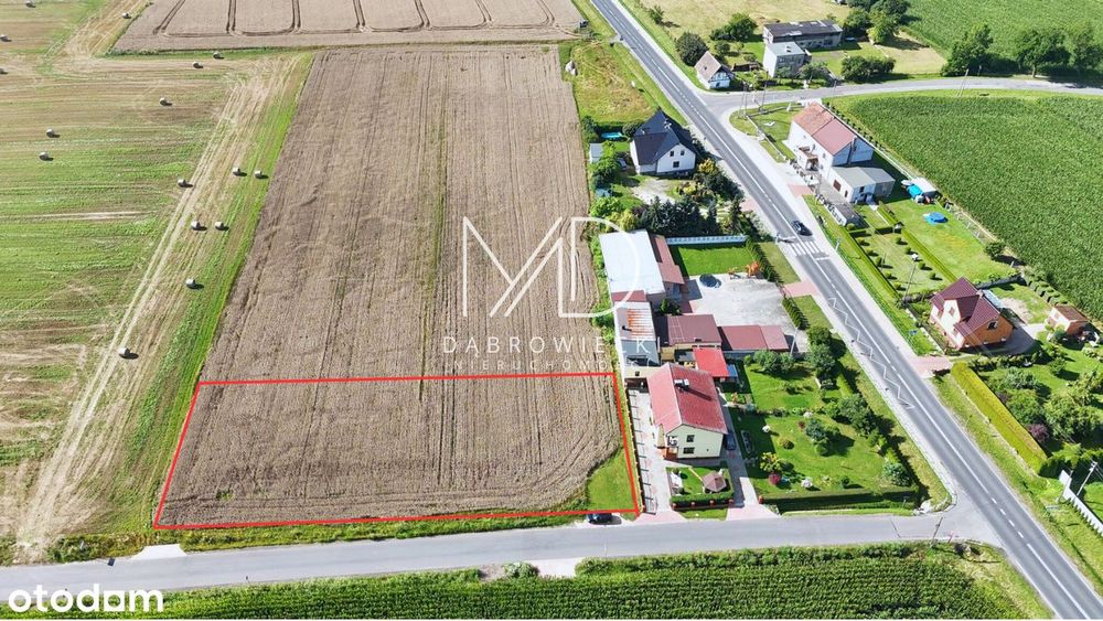 Działka Inwestycyjna 1931 m², Srocza Góra, Pniów, Produkcyjno-Usługowa