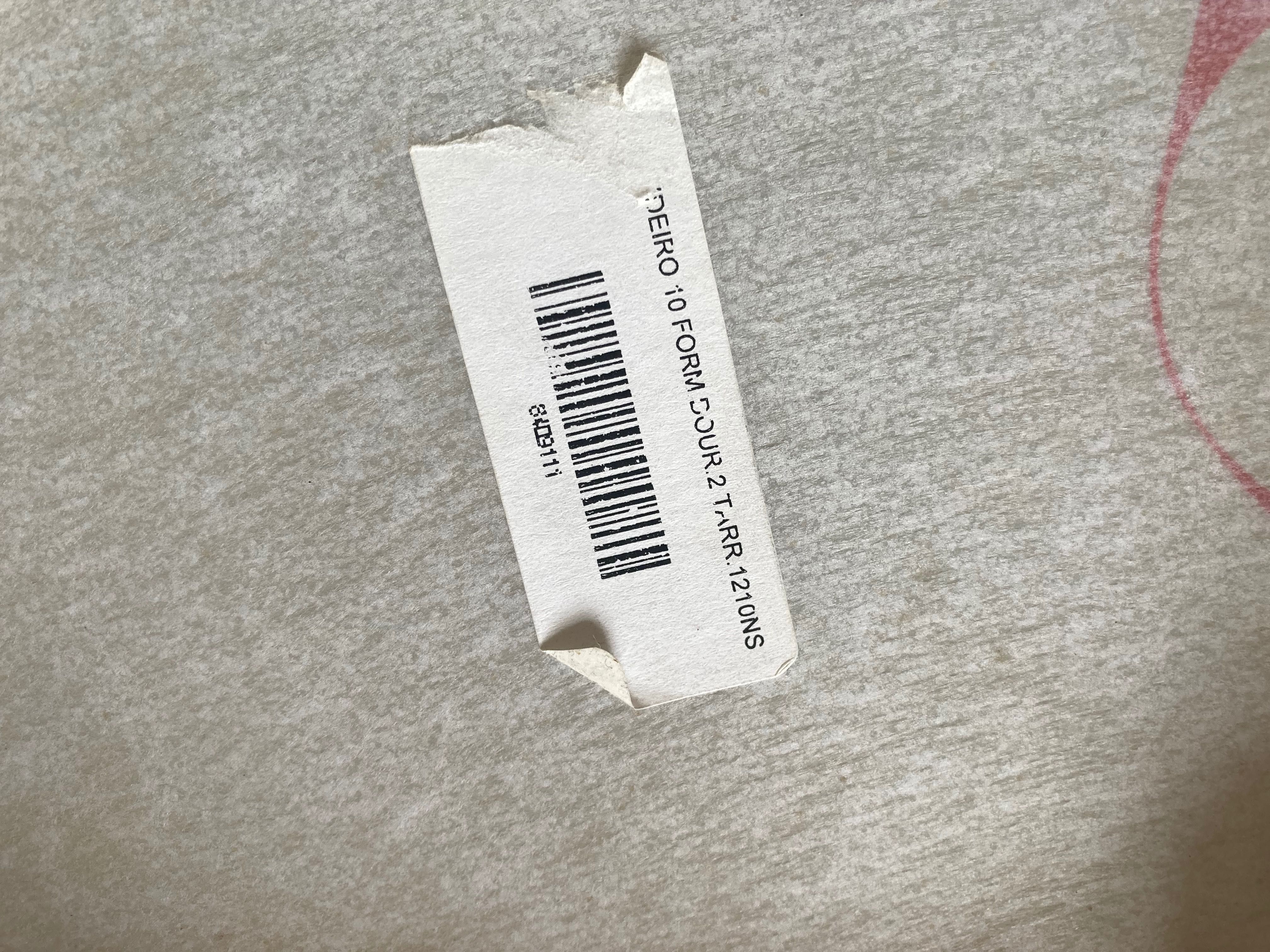 Pandeiro Nylon Contemporanêa 10