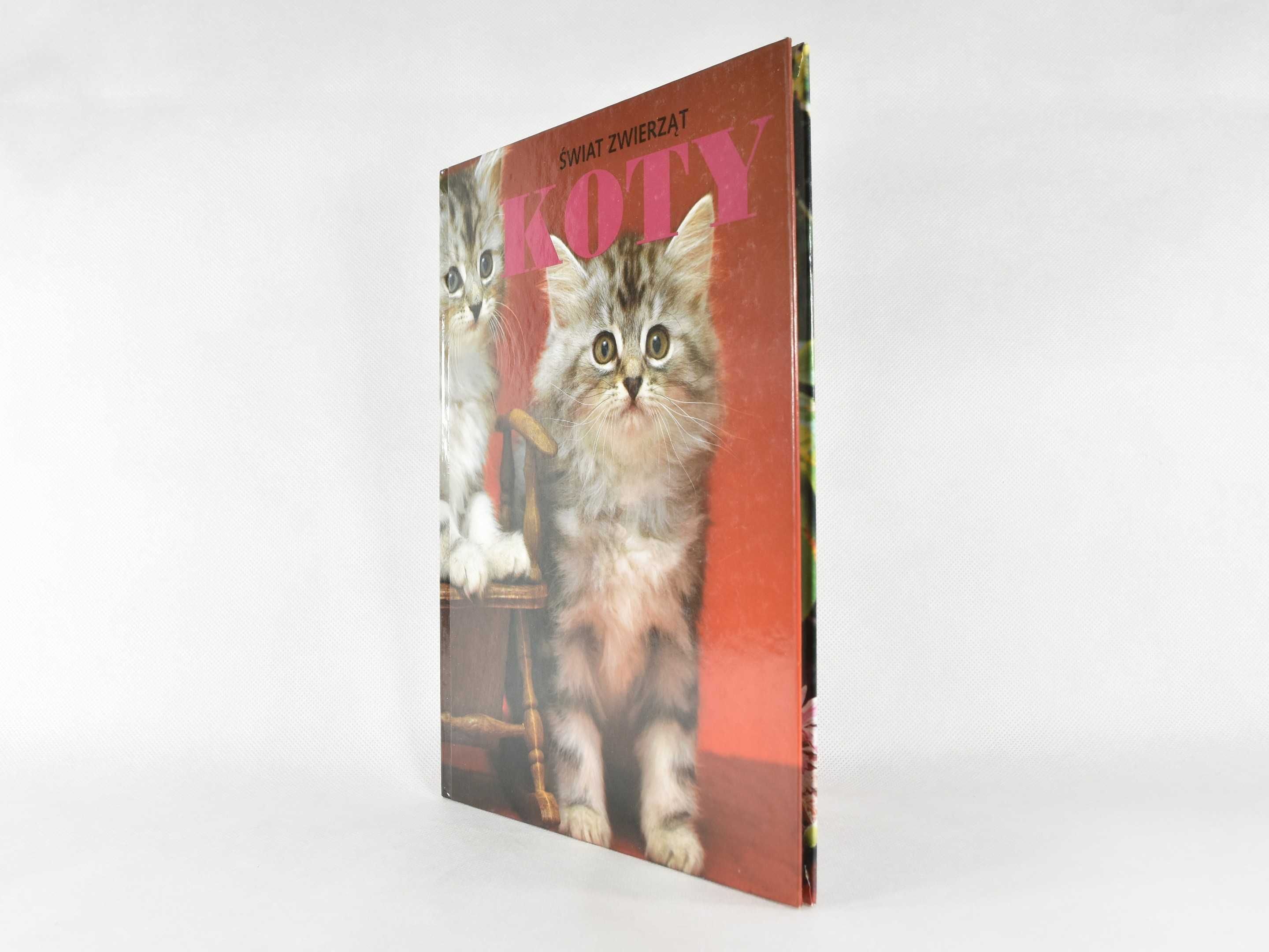 Książka "Świat zwierząt. Koty" David Gibbon