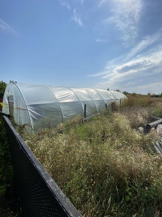 Продам будинок у передмісті Берегова