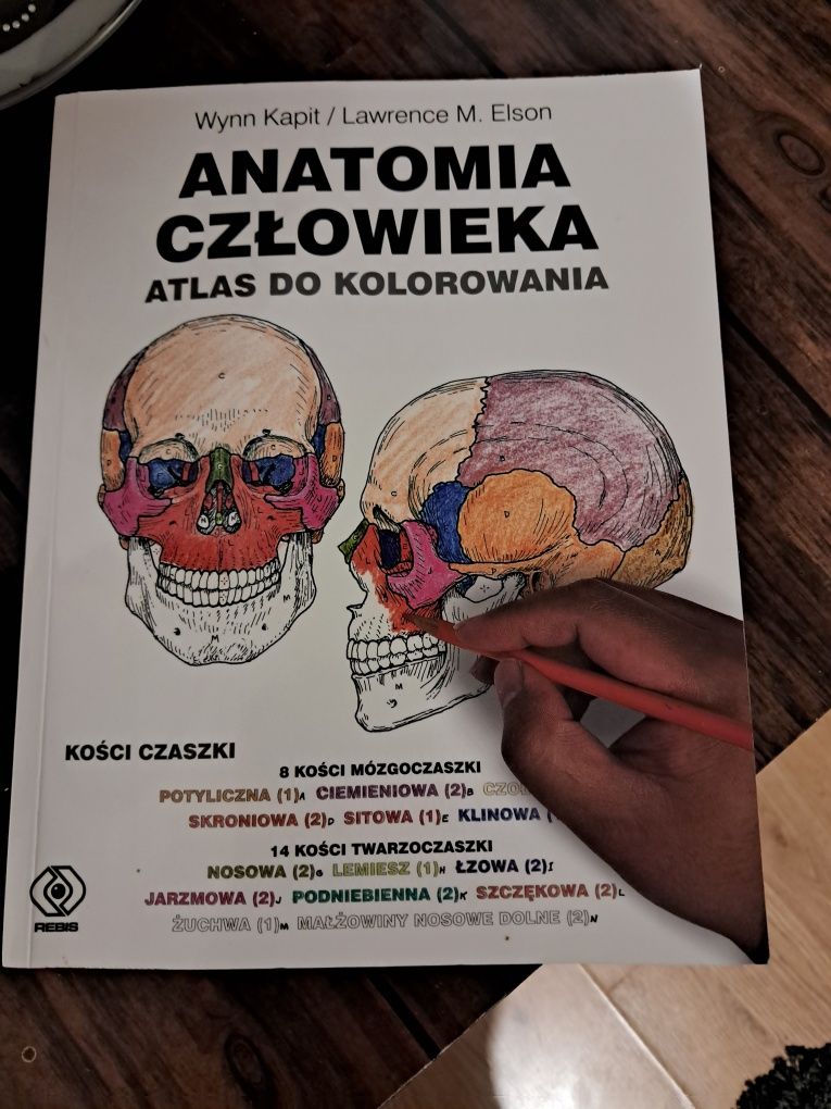 Anatomia człowieka. Atlas do kolorowania.