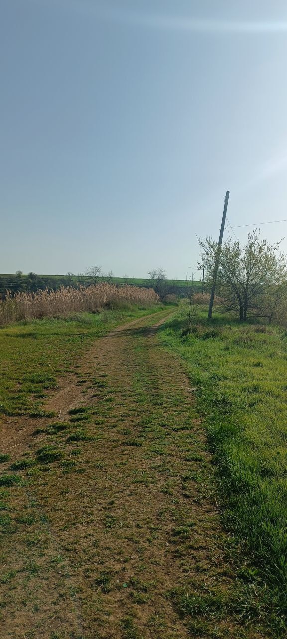 Гостевой загородный дом ( дача, коттедж, баня, бассейн, мангал)  посут