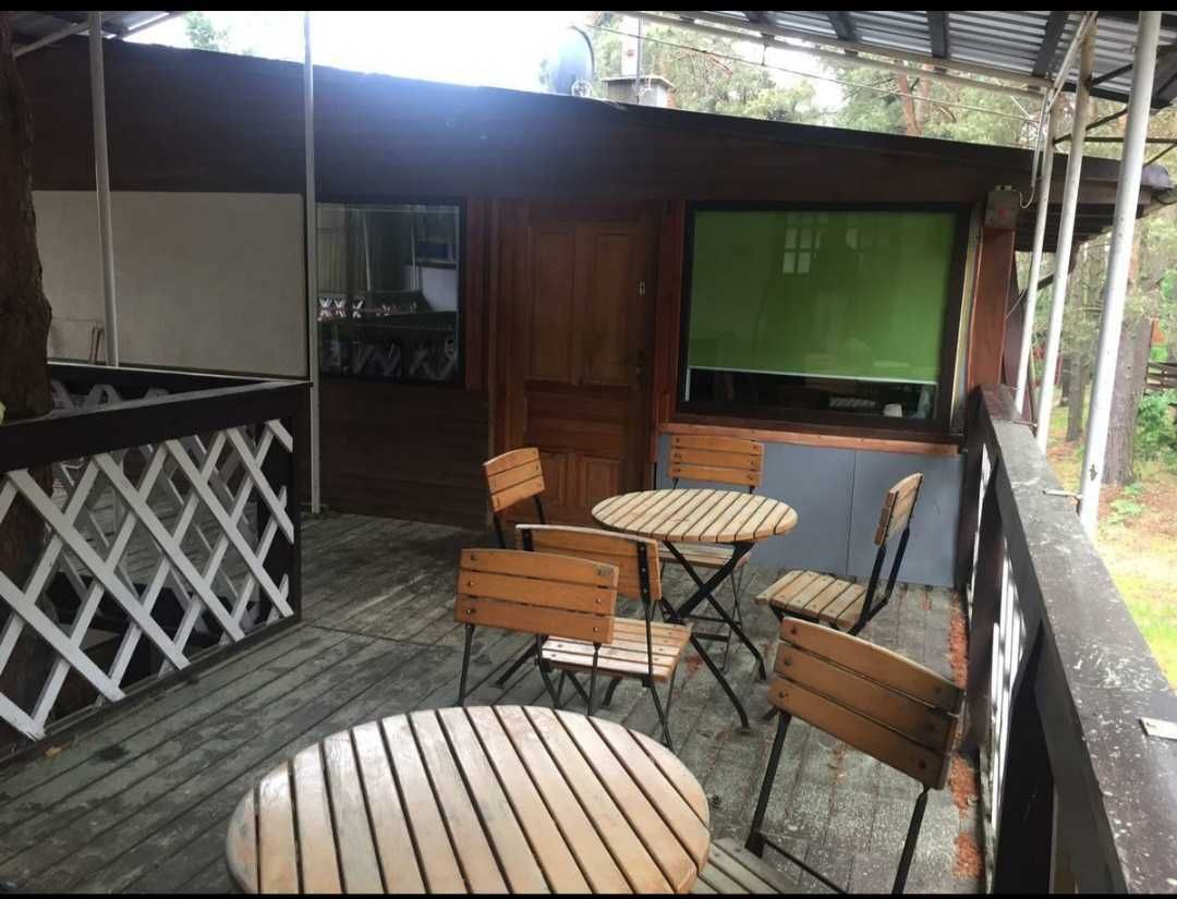 Apartament pod sosnami nad jeziorem Borówno Wielkie Skarszewy noclegi