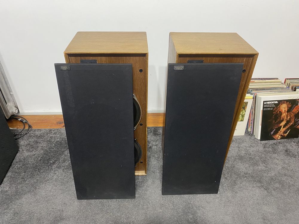 Celestion Ditton 25