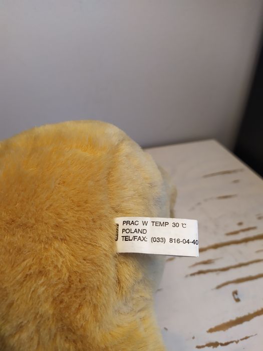 Miś uczeń student maskotka pluszak przytulanka