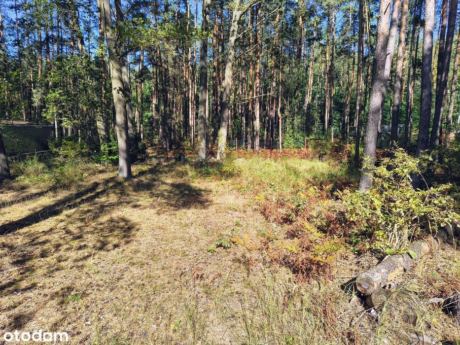 Działka budowlana 1 000 m2 Ciężków powiat Aleksandrów Łódzki