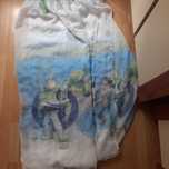 Firana z motywem Toy Story 6m*125cm