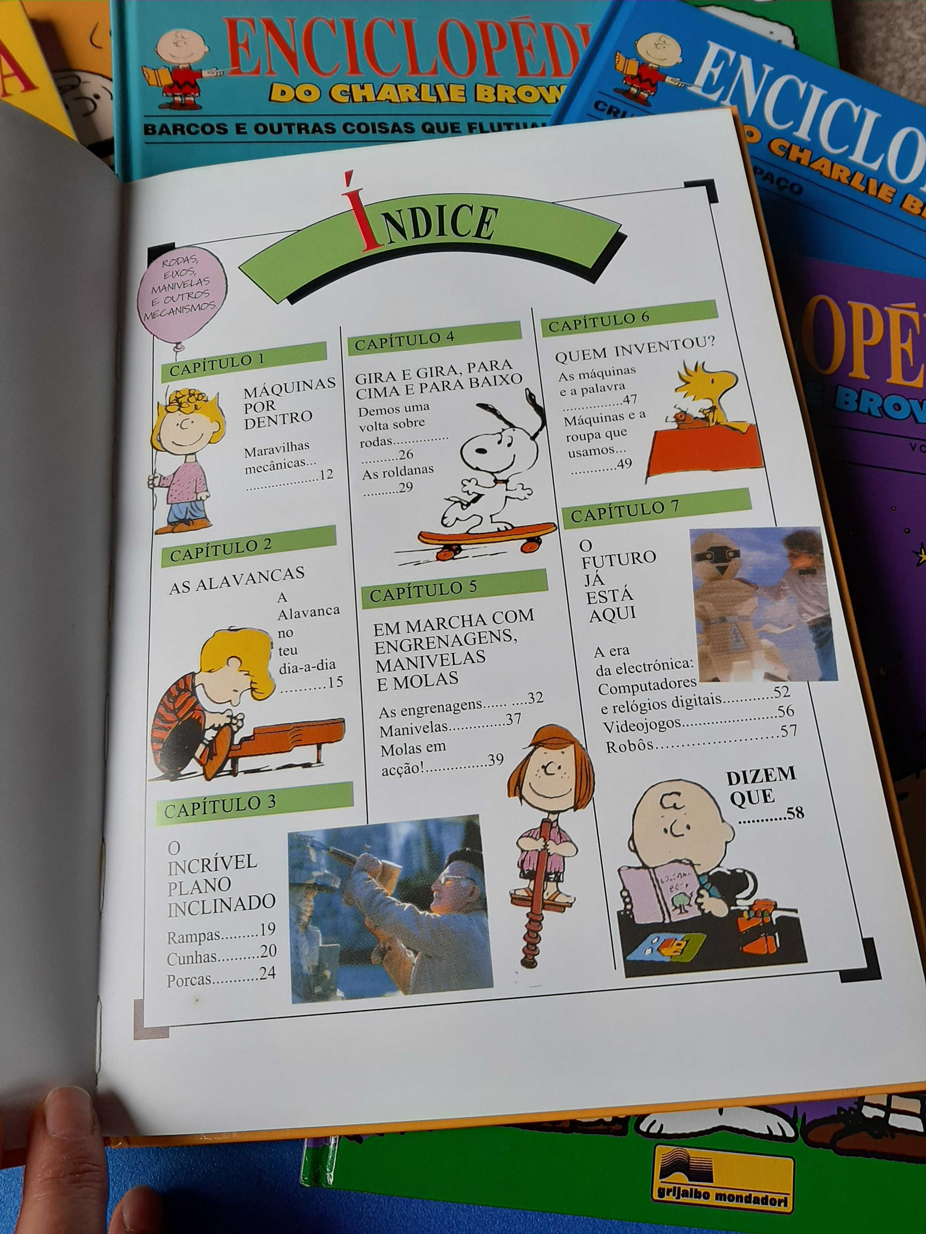 Enciclopédia Charlie Brown  15 livros novos