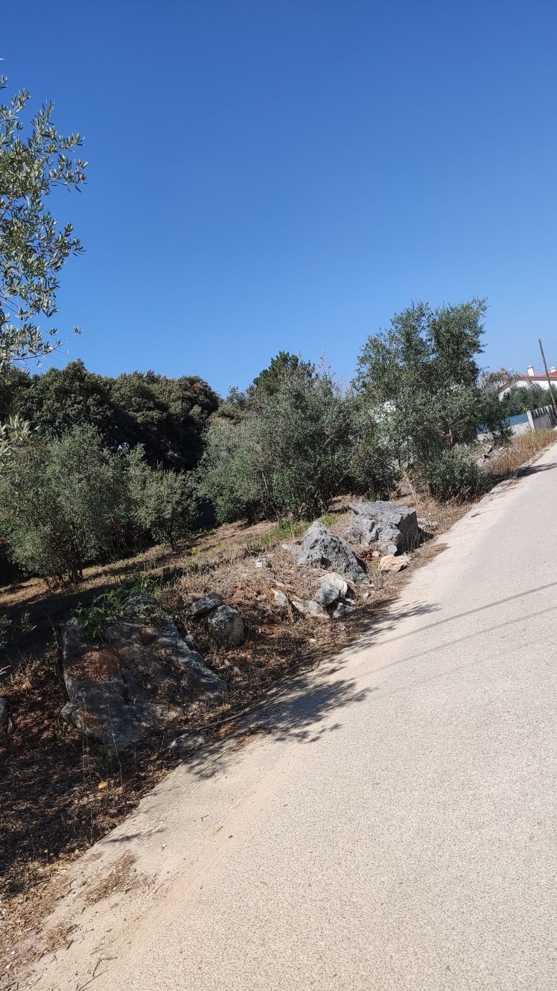 Terreno urbano para construção de moradia