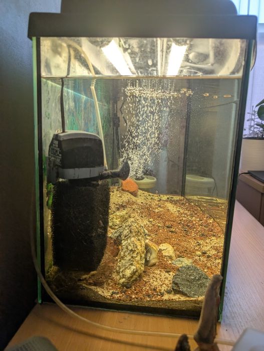 Akwarium 120l z wyposażeniem.