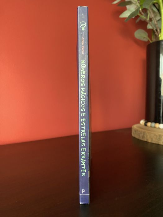 Livro “números mágicos e estrelas errantes”