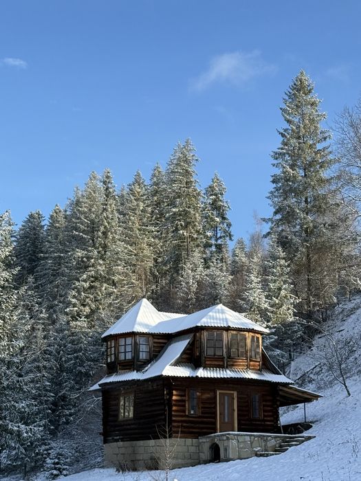 Будинок в Карпатах| 6 осіб| ( Микуличин, Яремче)