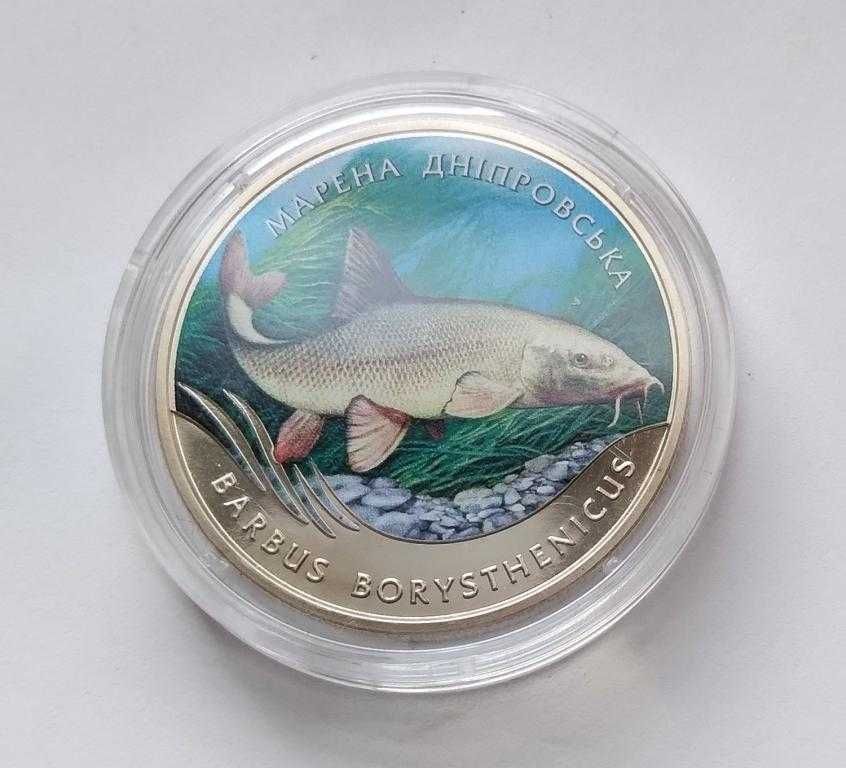 Орлан-Білохвіст монета України 2 гривні 2019 птах орел