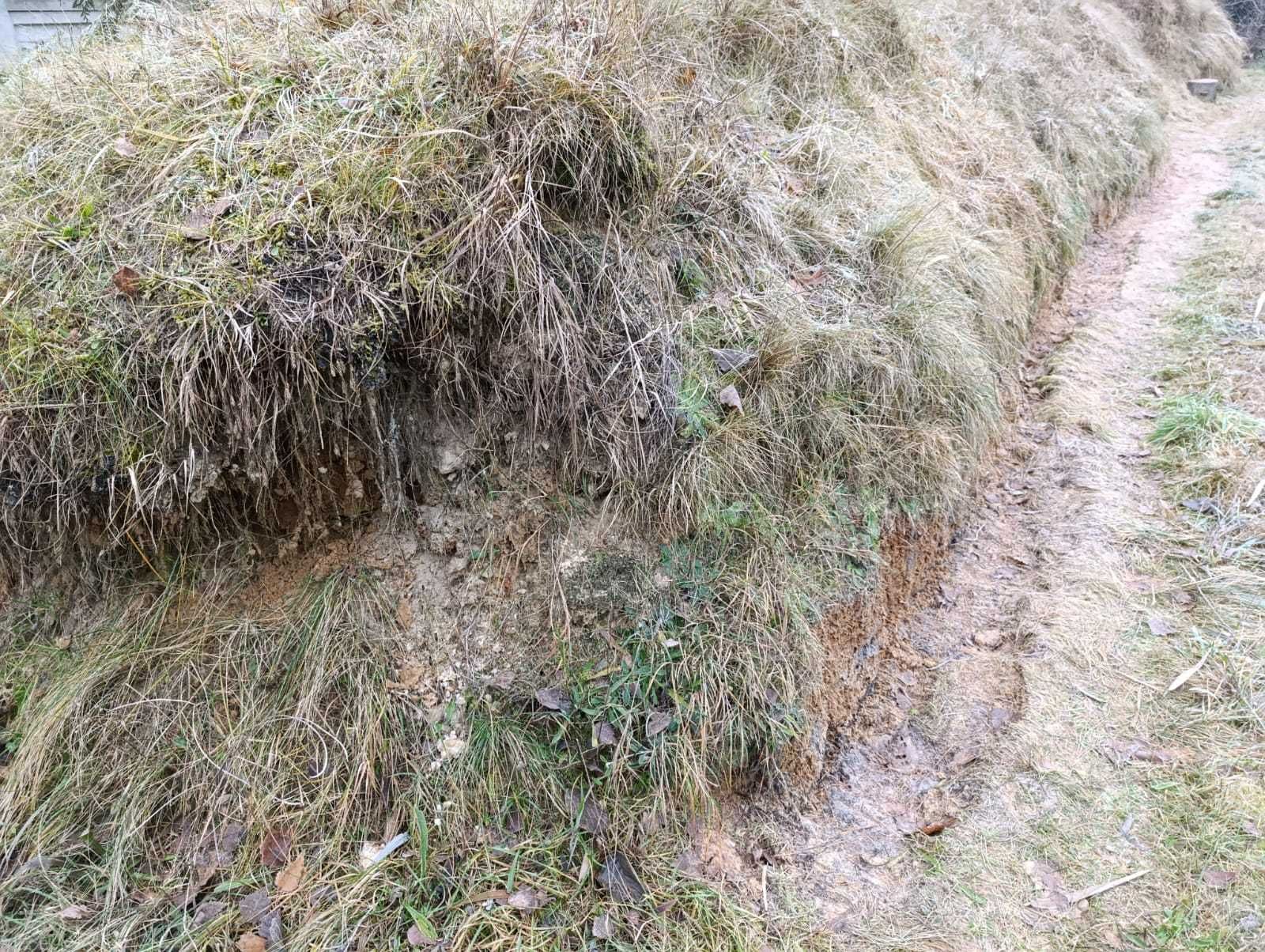 Oddam ziemię ZA DARMO