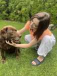 Petsitter, profesjonalna opieka domowa, hotel dla psa kota zwierząt
