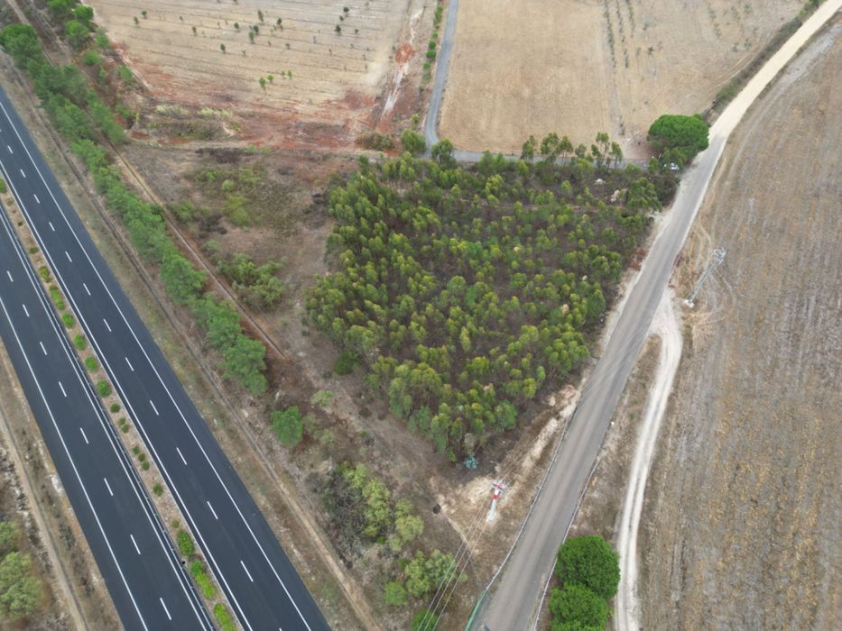 Terreno Rústico - Excelente oportunidade de negócio