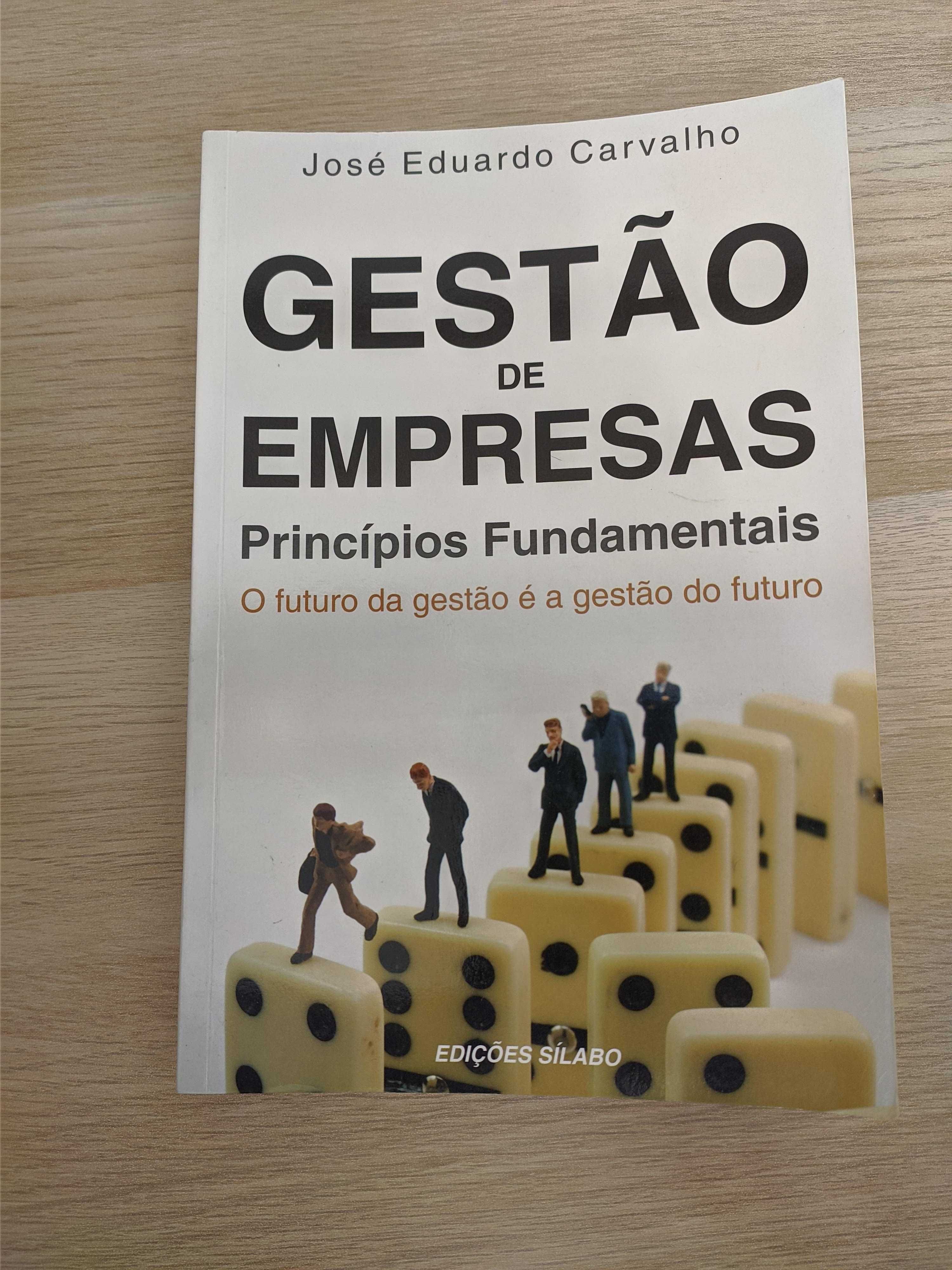 Livro Gestão Empresas Princípios Fundamentais - José Eduardo Carvalho