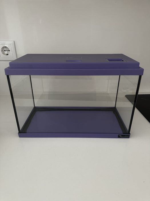 Aquario com acessorios