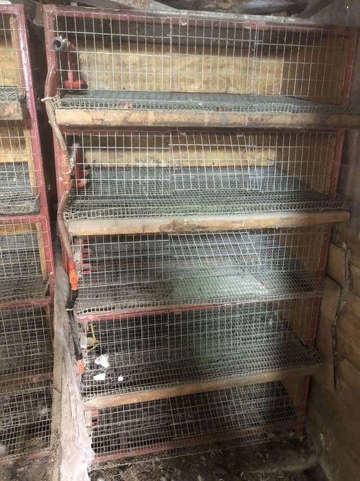 Клетки для перепелок