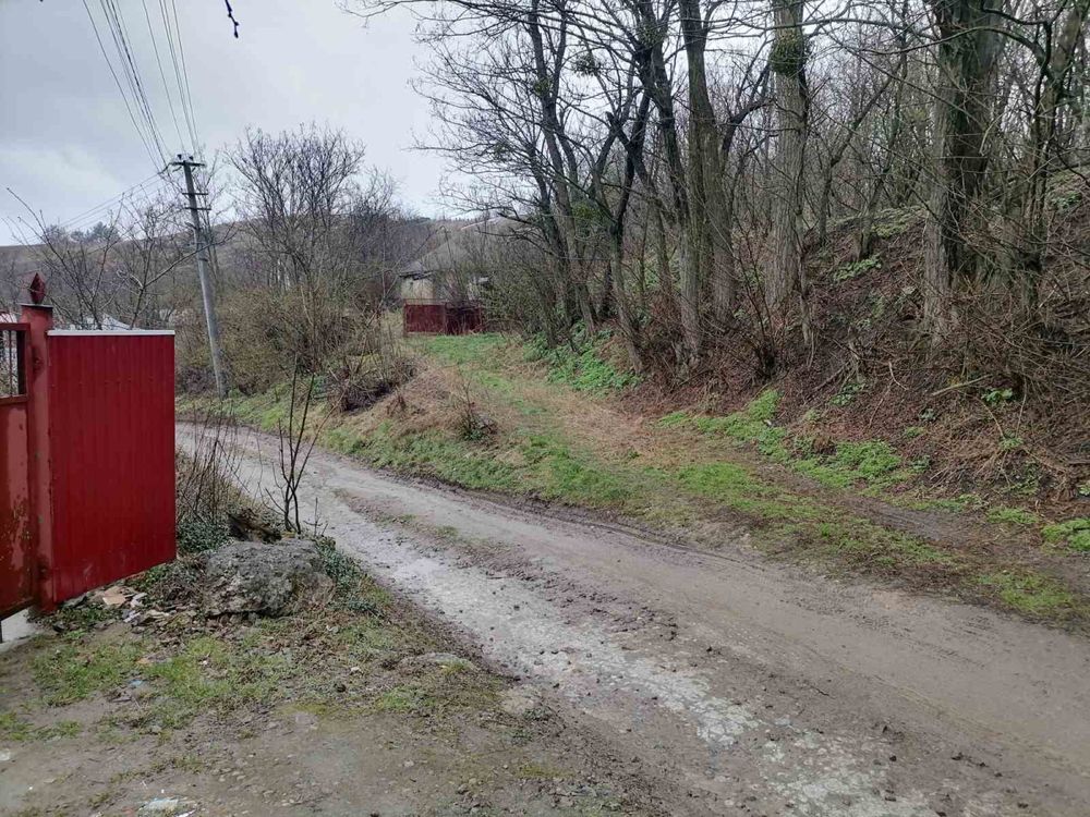 продаю свій участок с.Витачів, Київська обл.