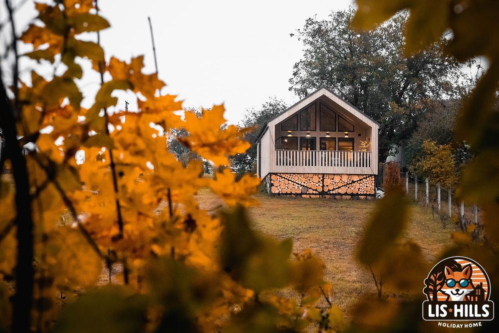 Шале з Басейном та Чаном! Будинок Софіївка дом посуточно  подобово