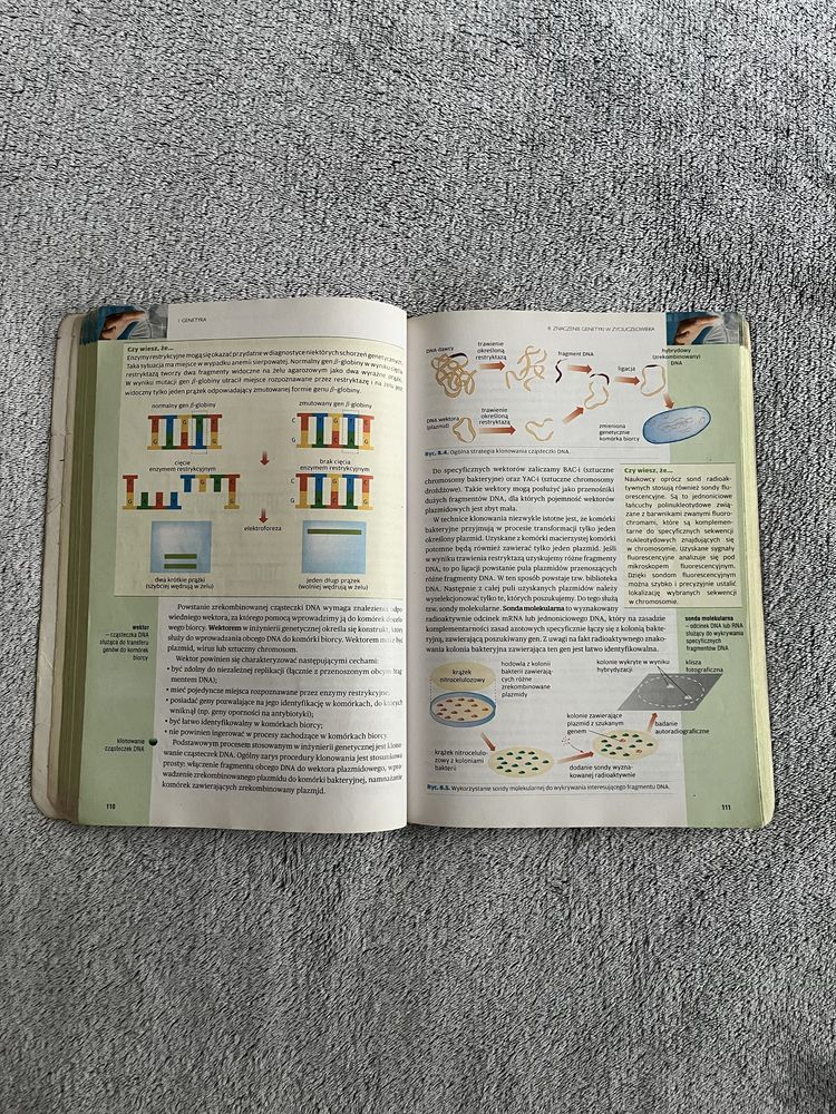 Biologia3 Operon zakres rozszerzony