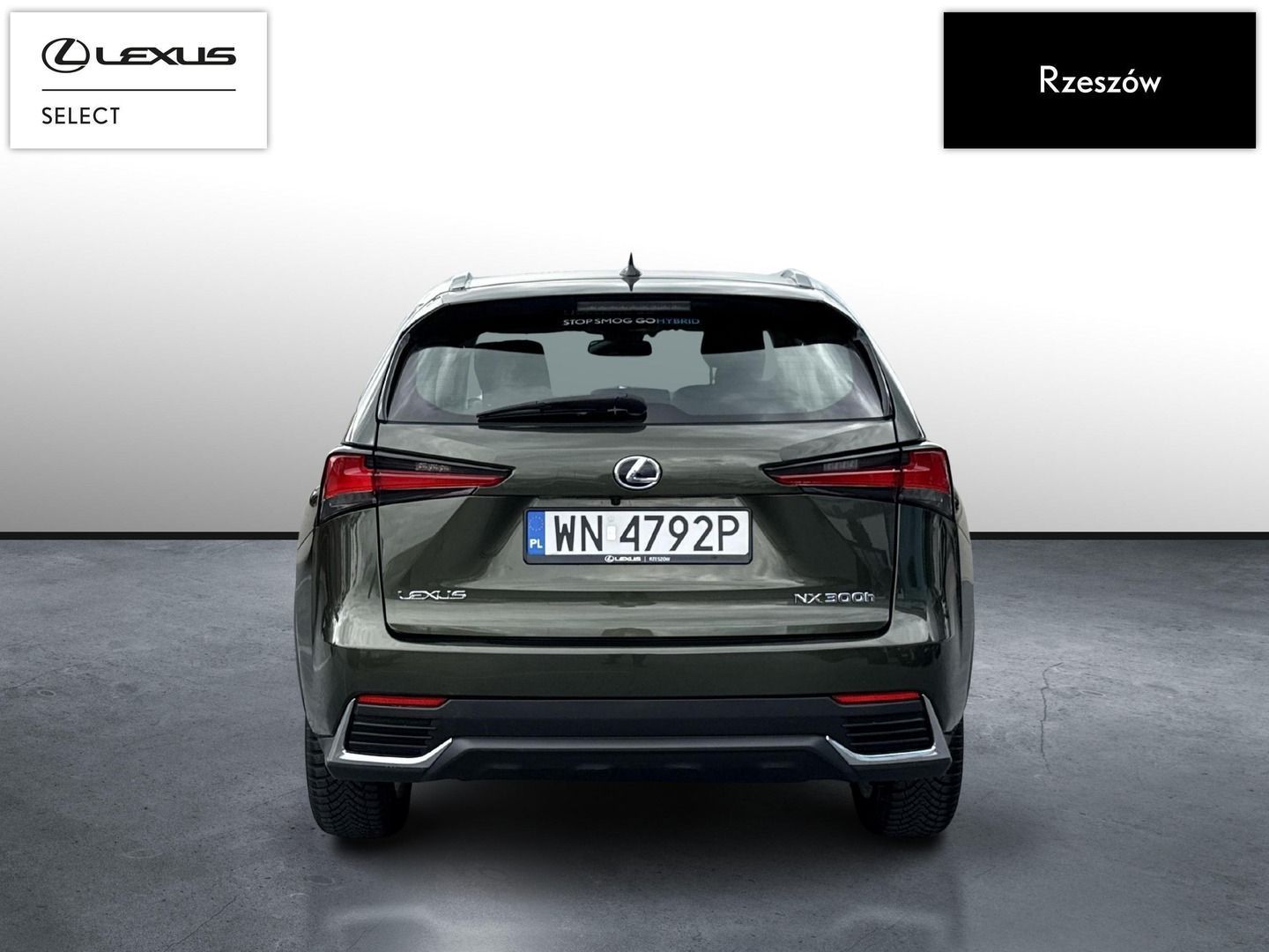 Lexus NX NX300h Business Edition | Piękna zieleń | FVAT 23%