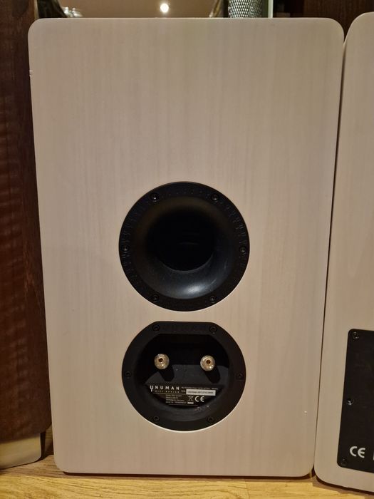 Numan 1978 Retrospective