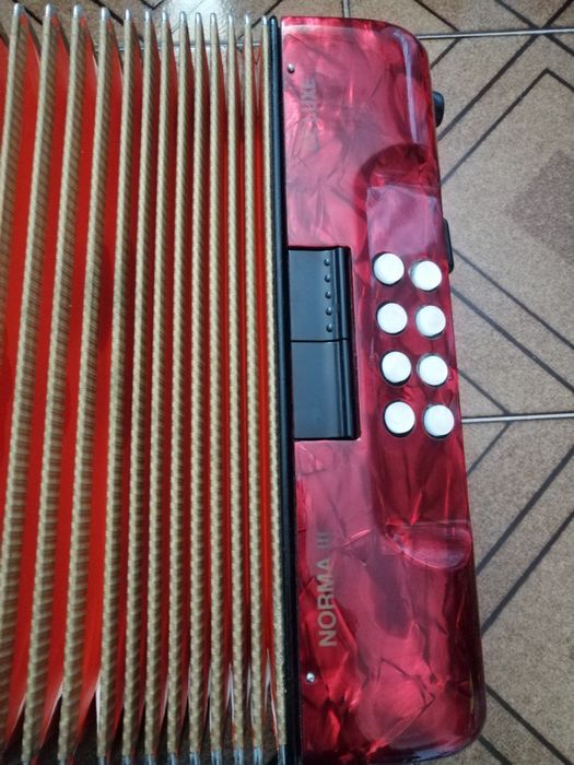 Concertina Hohner