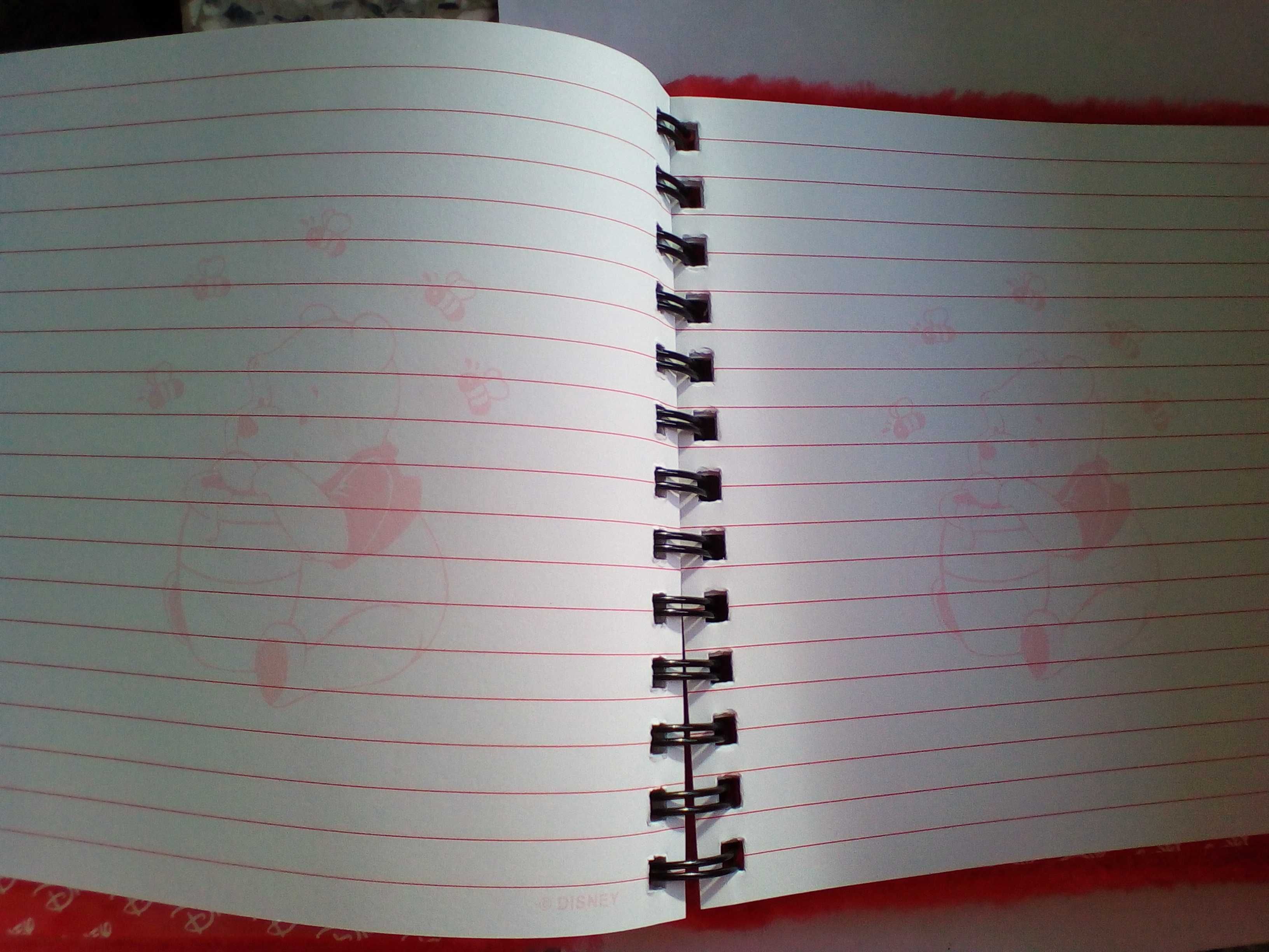 notatnik Puchatek, nowy notes dla dziecka