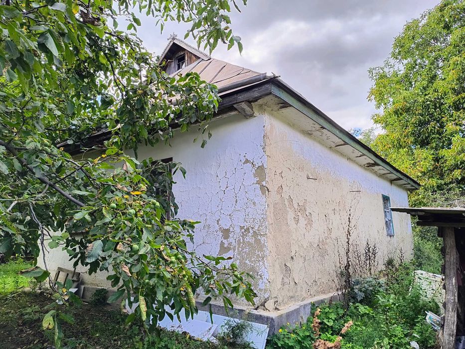 Дім 56 м2 біля самого лісу Собківка 8 км Умань піч меблі 25 соток