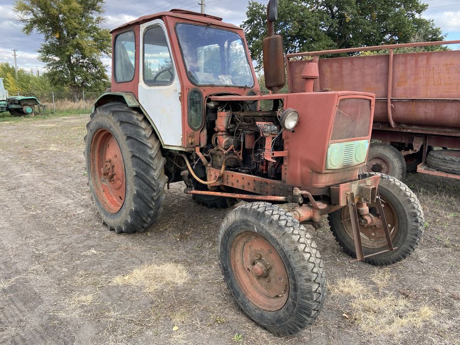 Трактор ЮМЗ , запчастини ЮМЗ, шини ЮМЗ (Разборка ЮМЗ)