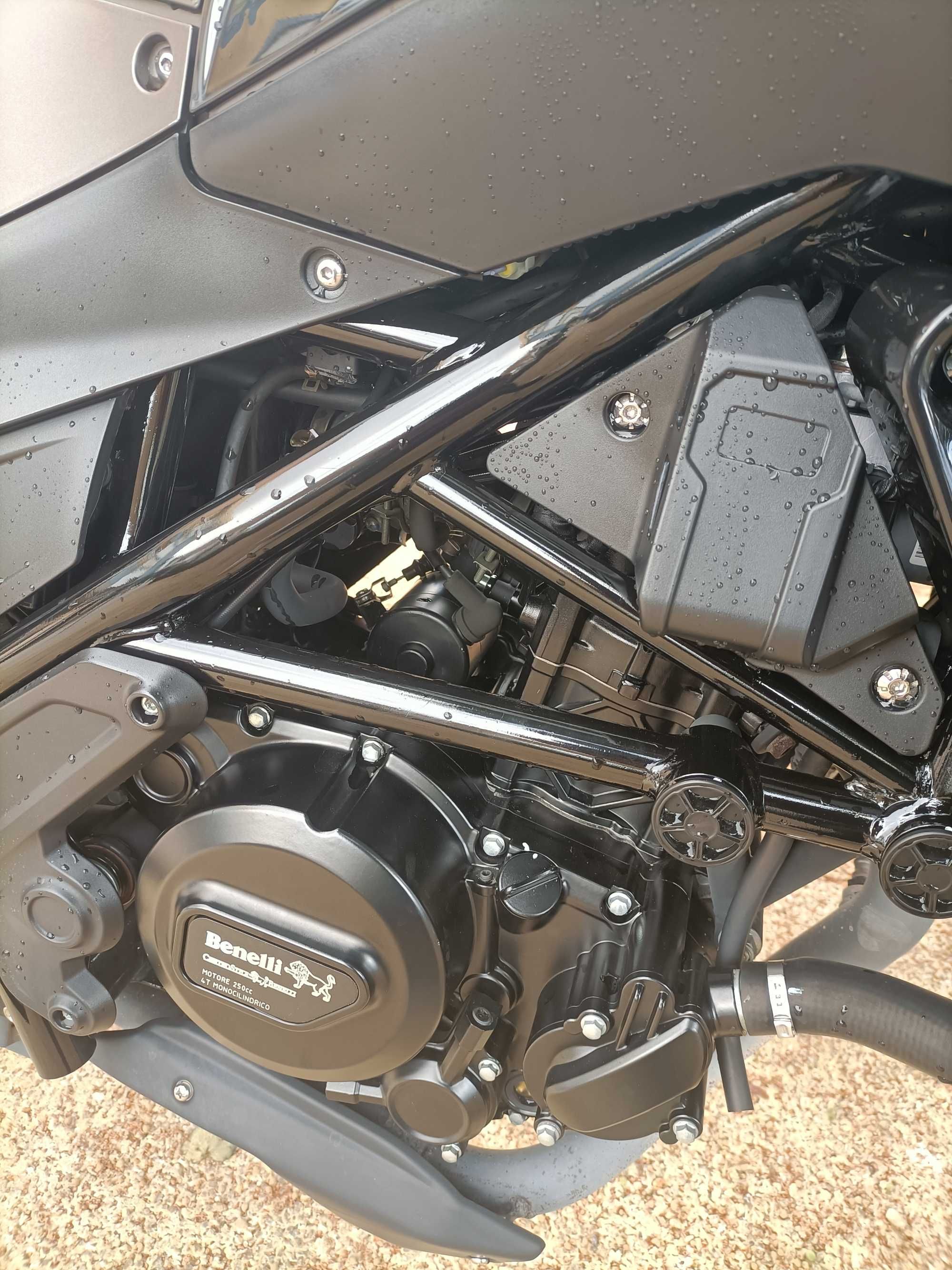 Benelli leoncino 250