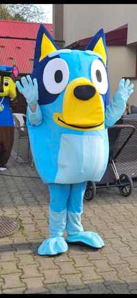 Wypozycze stroj zywa maskotka blue kostium reklamowy